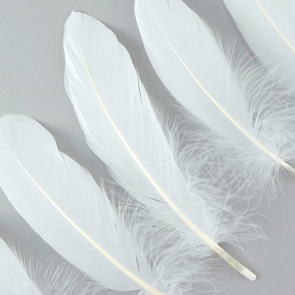 Bulk Goose Pallet Feathers 6-8 Inch - 1/4 LB - White - Feathers