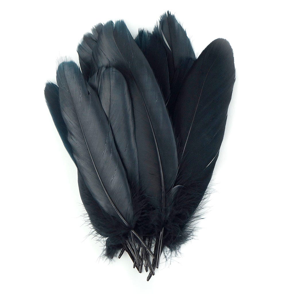 Bulk Goose Pallet Feathers 6-8 nch - 1/4 LB - Black - Feathers