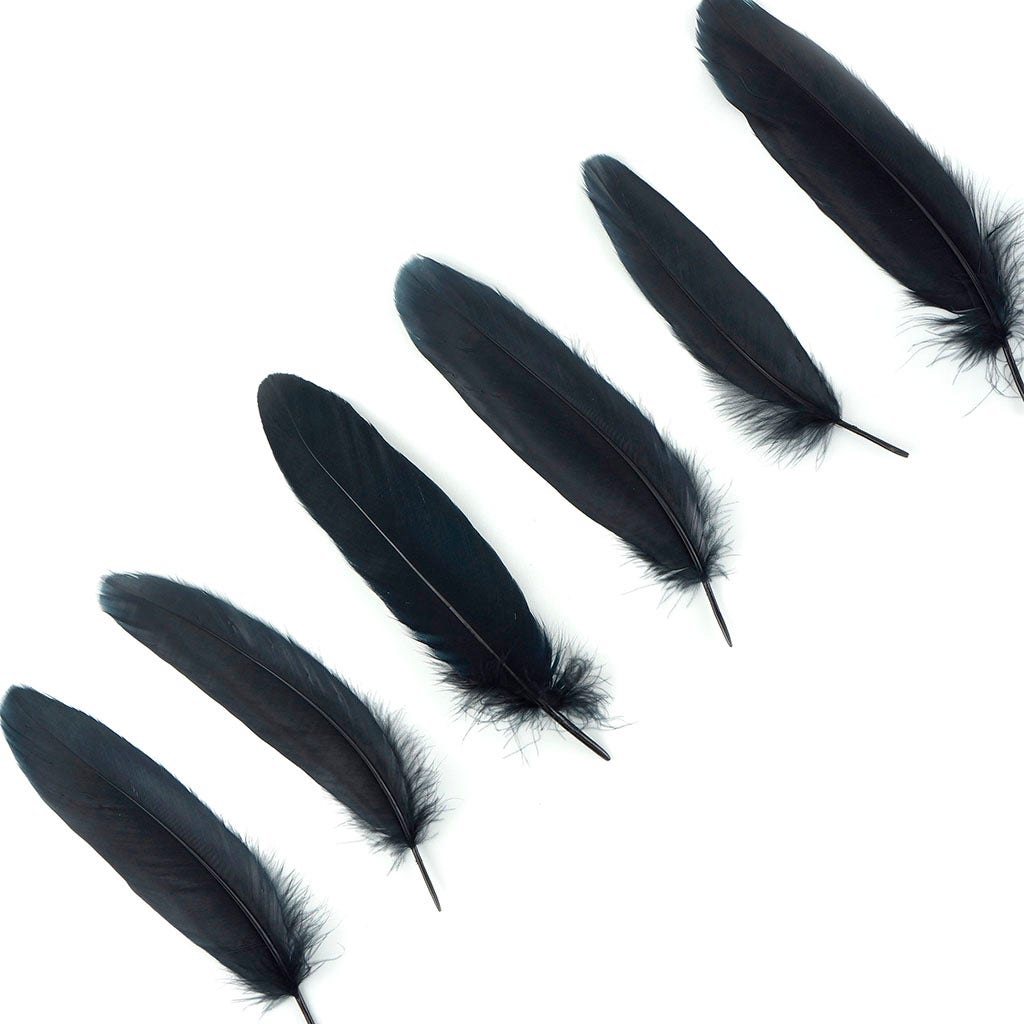 Bulk Goose Pallet Feathers 6-8 nch - 1/4 LB - Black - Feathers