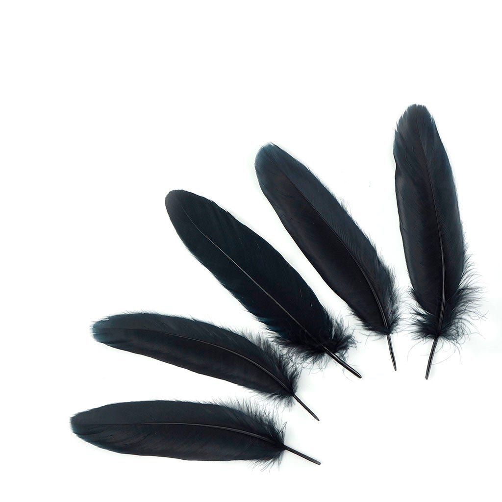 Bulk Goose Pallet Feathers 6-8 nch - 1/4 LB - Black - Feathers