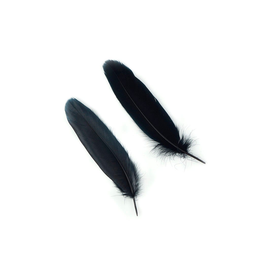 Bulk Goose Pallet Feathers 6-8 nch - 1/4 LB - Black - Feathers