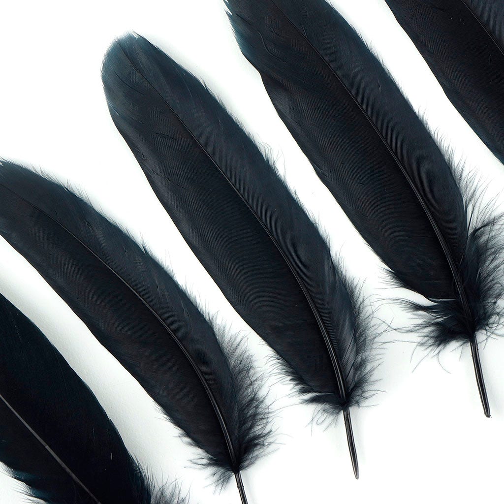 Bulk Goose Pallet Feathers 6-8 nch - 1/4 LB - Black - Feathers