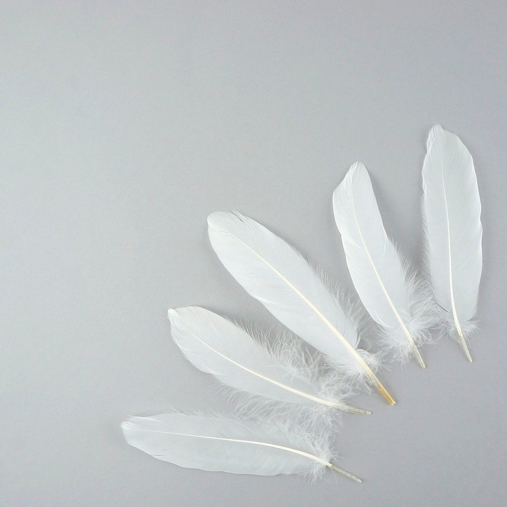 Bulk Goose Satinette Feathers Dyed - White - 1/4 lb - Feathers