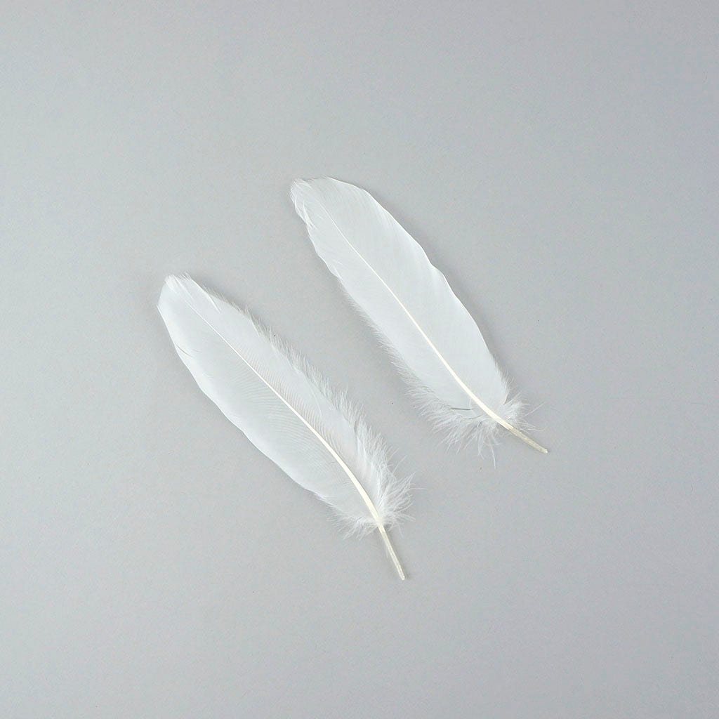 Bulk Goose Satinette Feathers Dyed - White - 1/4 lb - Feathers