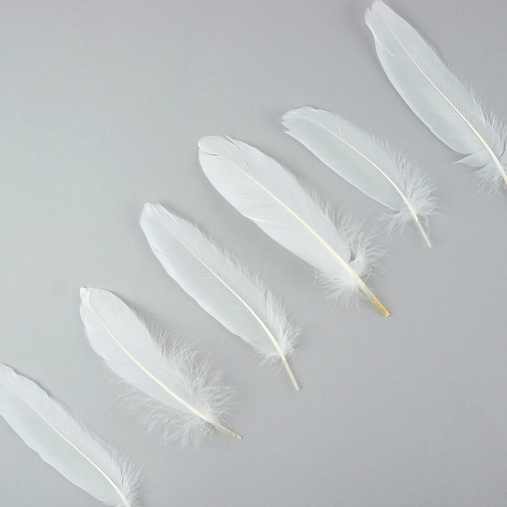 Bulk Goose Satinette Feathers Dyed - White - 1/4 lb - Feathers