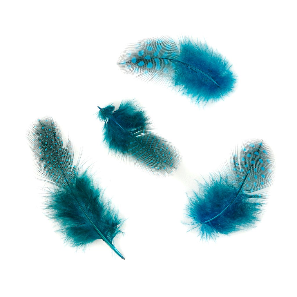 Bulk Guinea Hen Plumage - 1/4 lb - Dark Turquoise - Feathers