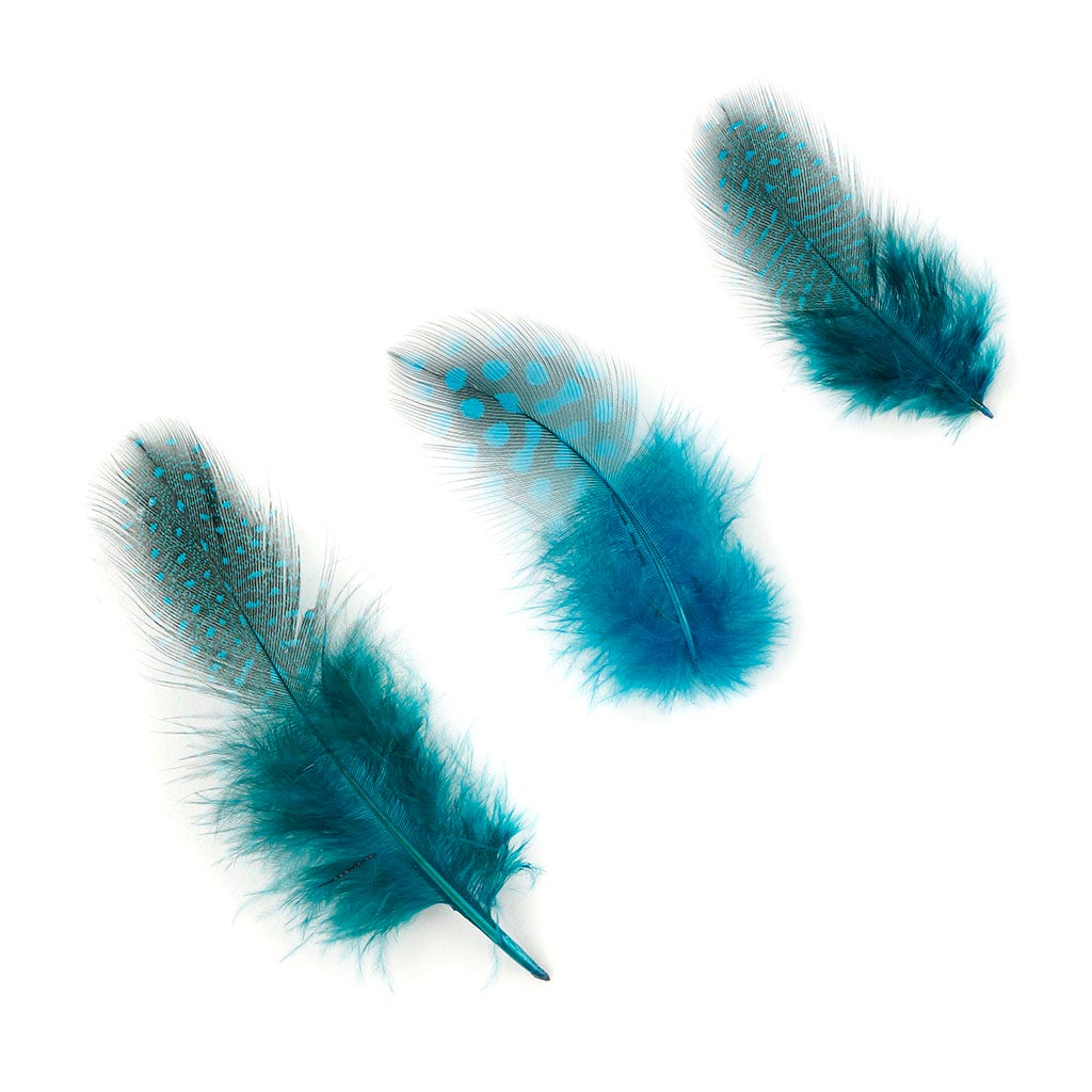 Bulk Guinea Hen Plumage - 1/4 lb - Dark Turquoise - Feathers