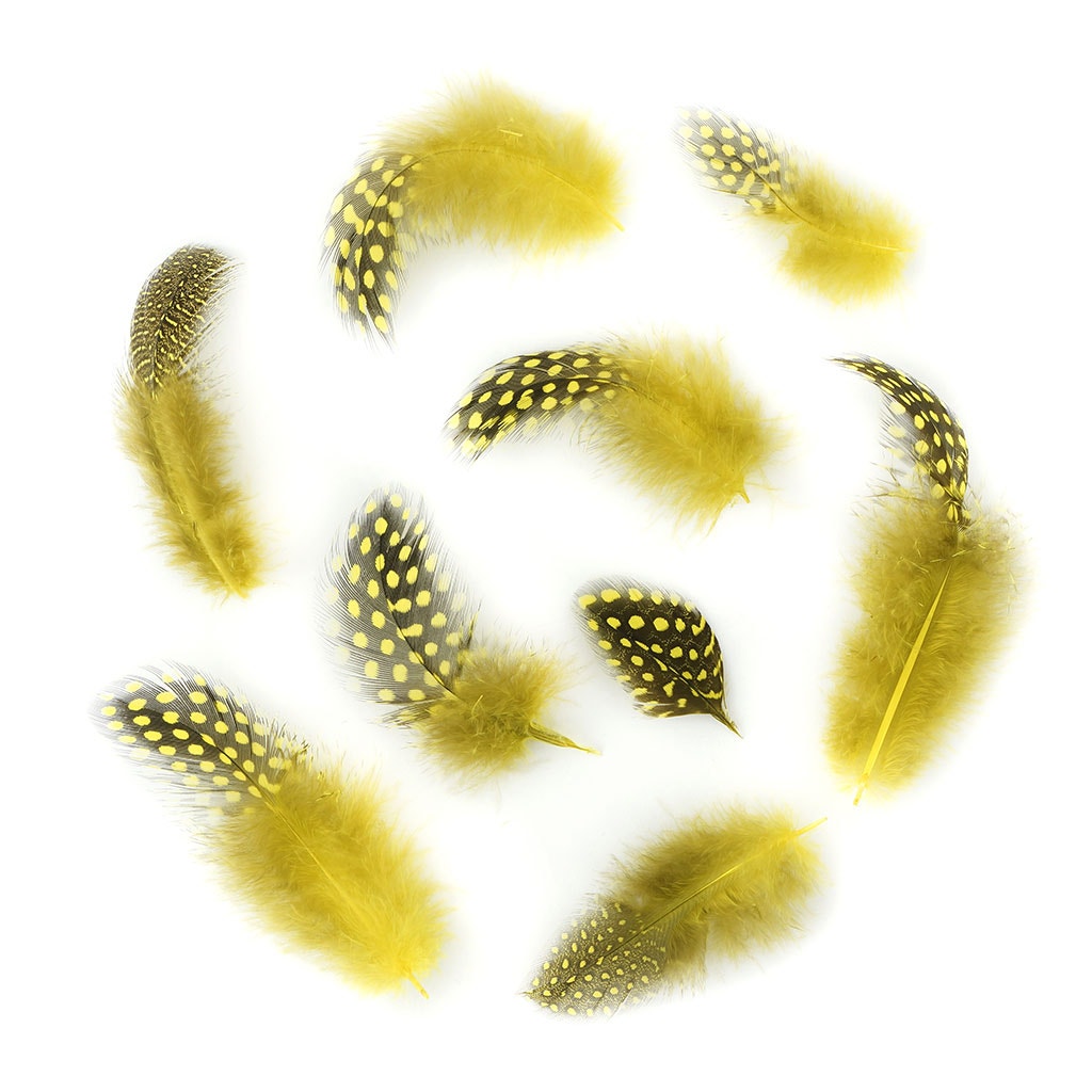 Bulk Guinea Hen Plumage 1/4 lb - Fluorescent Yellow - Feathers