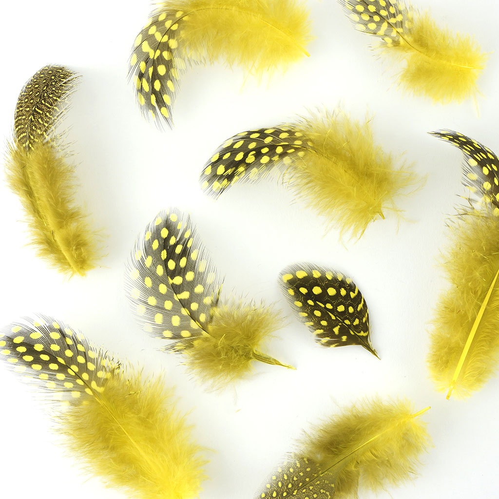 Bulk Guinea Hen Plumage 1/4 lb - Fluorescent Yellow - Feathers