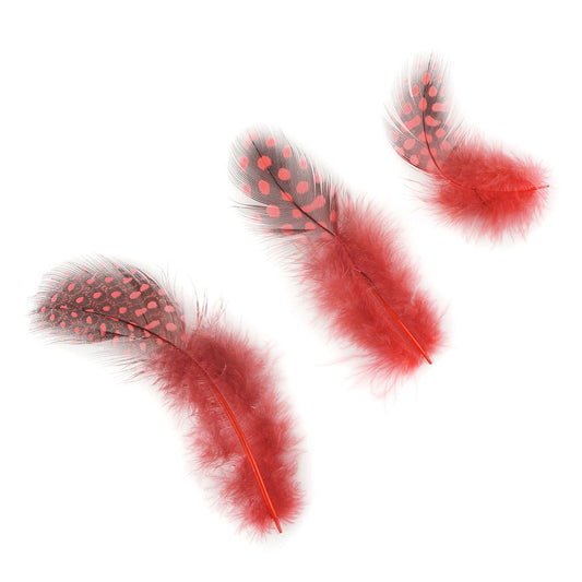 Bulk Guinea Hen Plumage - 1/4 lb - Hot Orange - Feathers