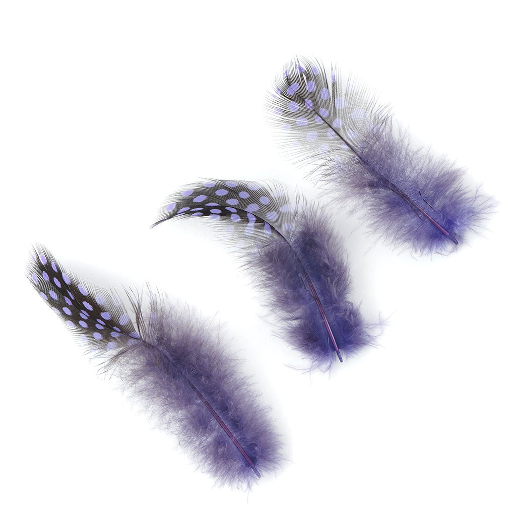 Bulk Guinea Hen Plumage - 1/4 lb - Lavender - Feathers