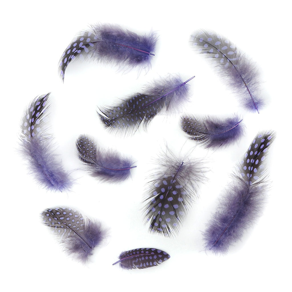 Bulk Guinea Hen Plumage - 1/4 lb - Lavender - Feathers