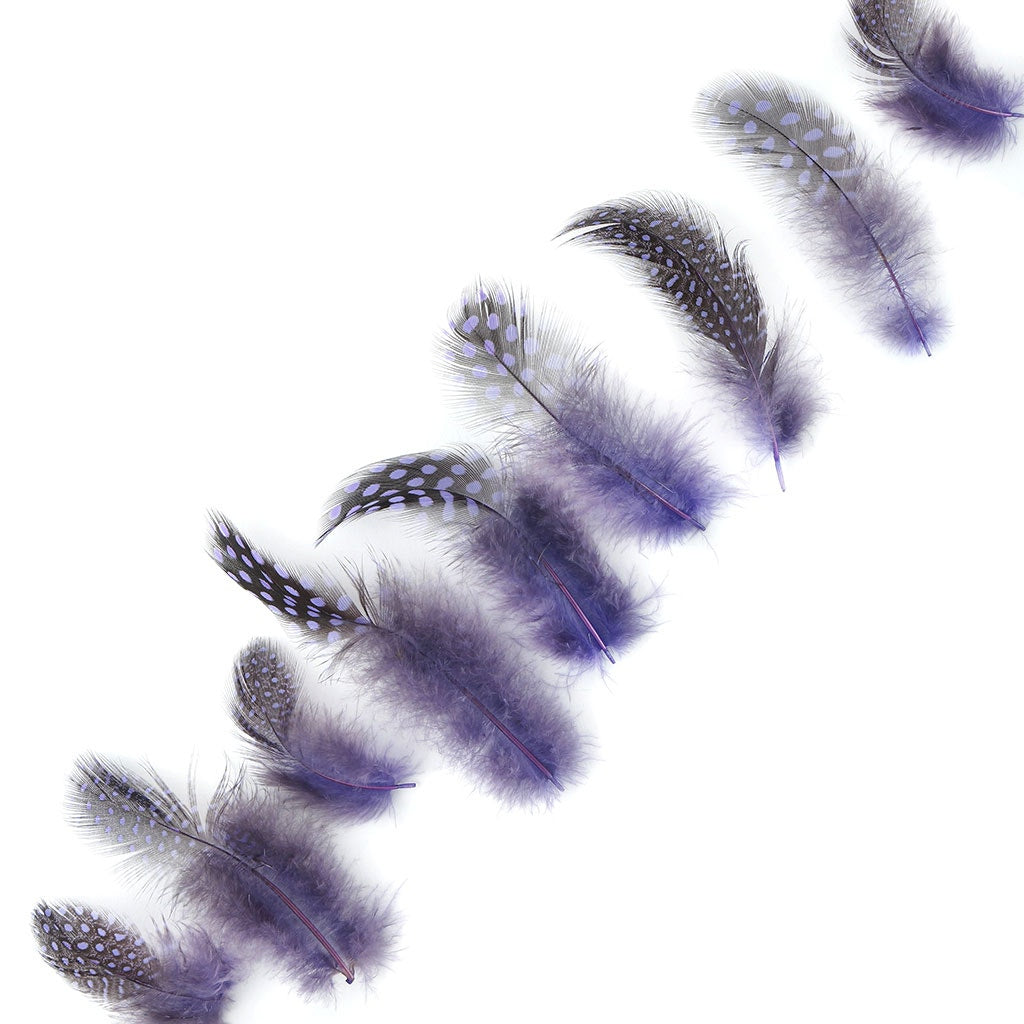 Bulk Guinea Hen Plumage - 1/4 lb - Lavender - Feathers