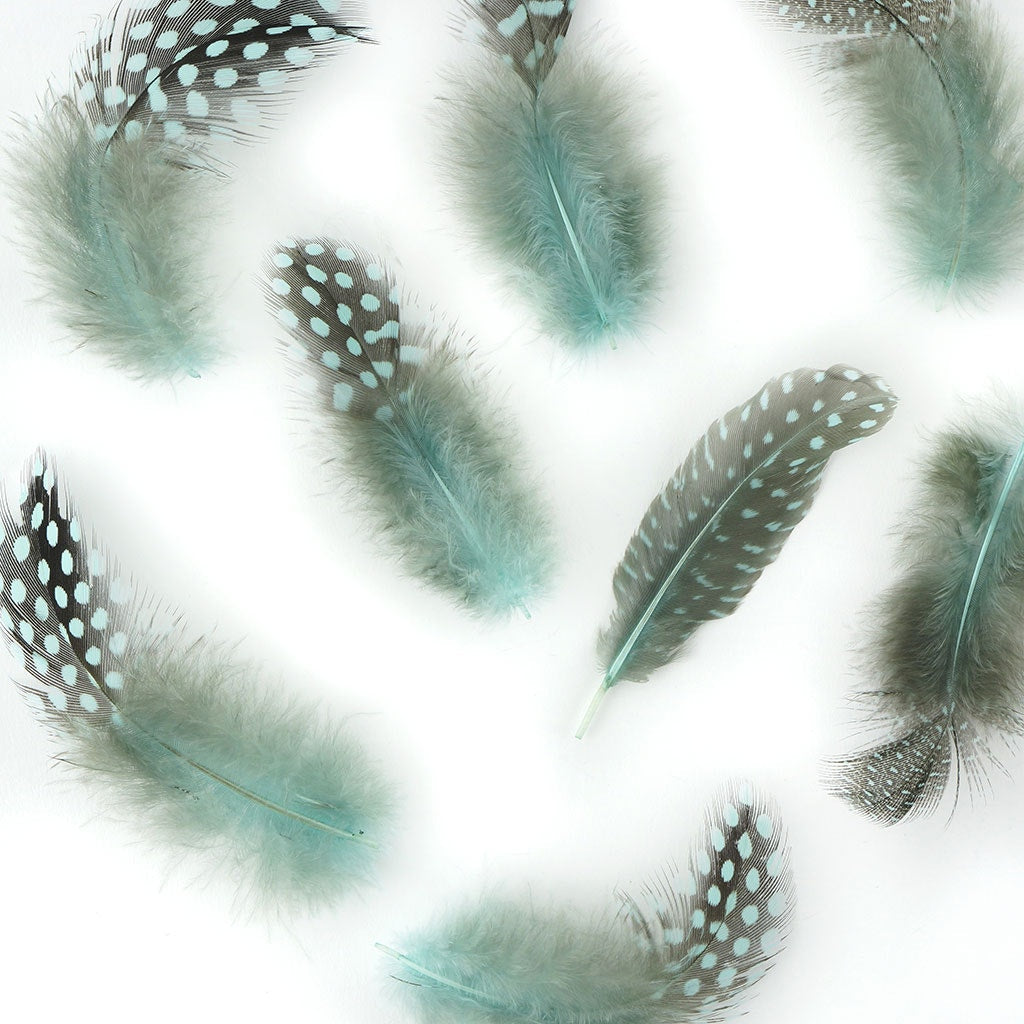 Bulk Guinea Hen Plumage - 1/4 lb - Light Turquoise - Feathers