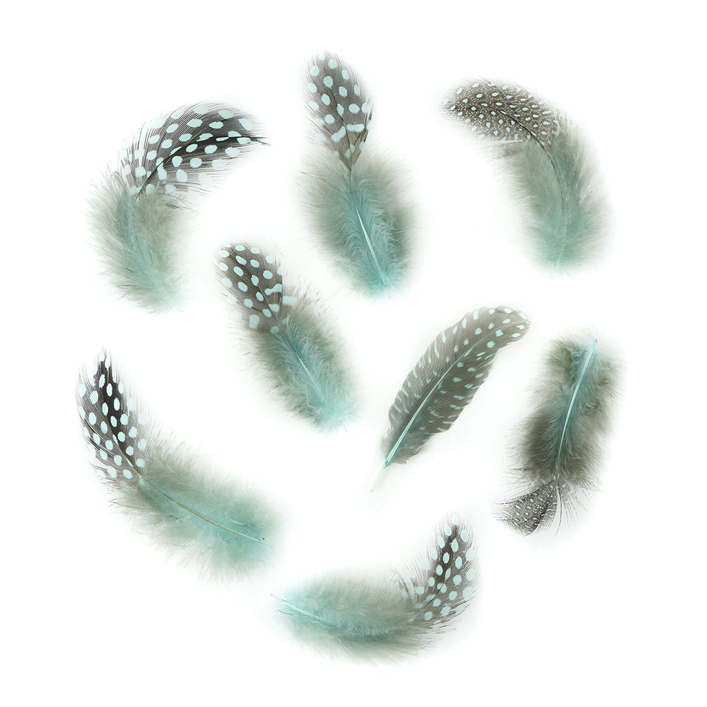 Bulk Guinea Hen Plumage - 1/4 lb - Light Turquoise - Feathers