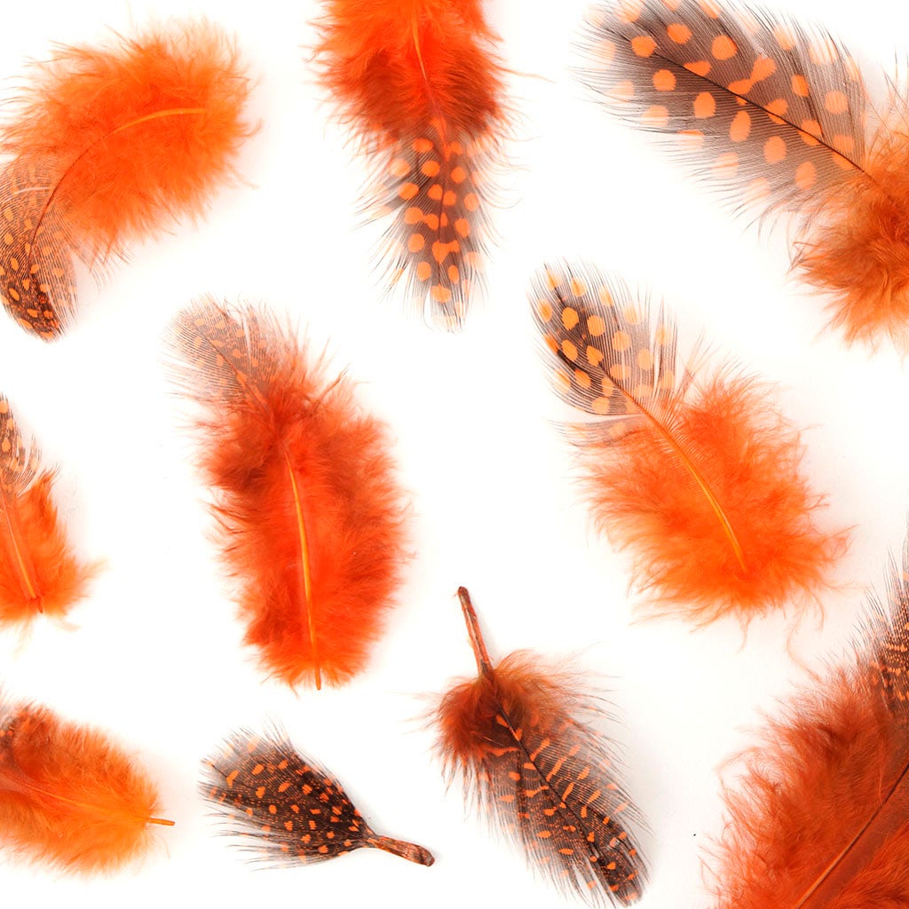 Bulk Guinea Hen Plumage - 1/4 lb - Orange - Feathers