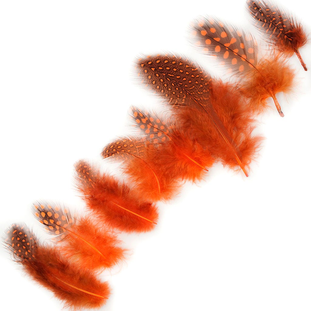 Bulk Guinea Hen Plumage - 1/4 lb - Orange - Feathers