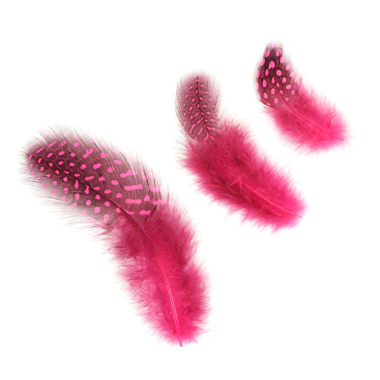 Bulk Guinea Hen Plumage - 1/4 lb - Pink Orient - Feathers