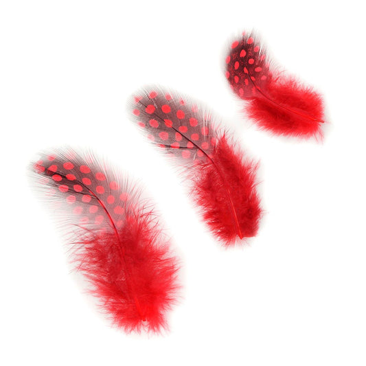 Bulk Guinea Hen Plumage - 1/4 lb - Red - Feathers