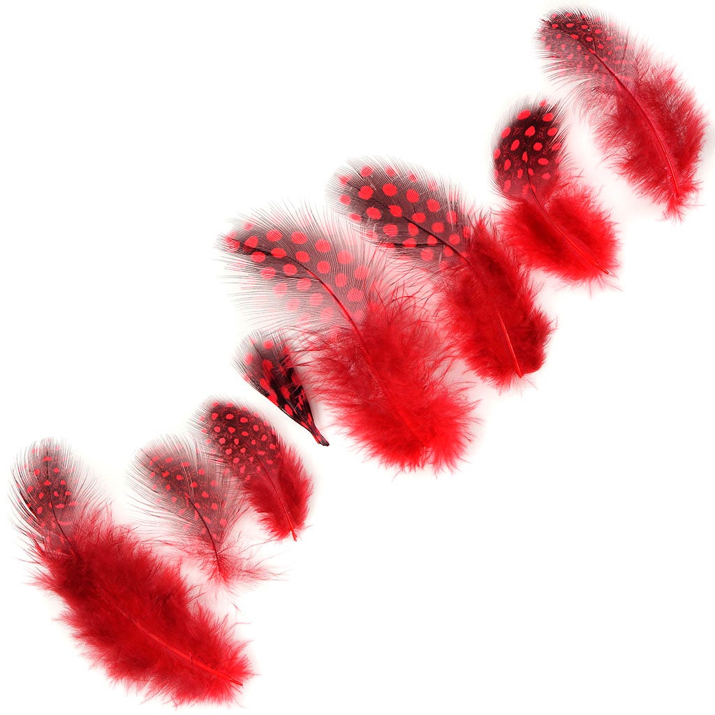 Bulk Guinea Hen Plumage - 1/4 lb - Red - Feathers