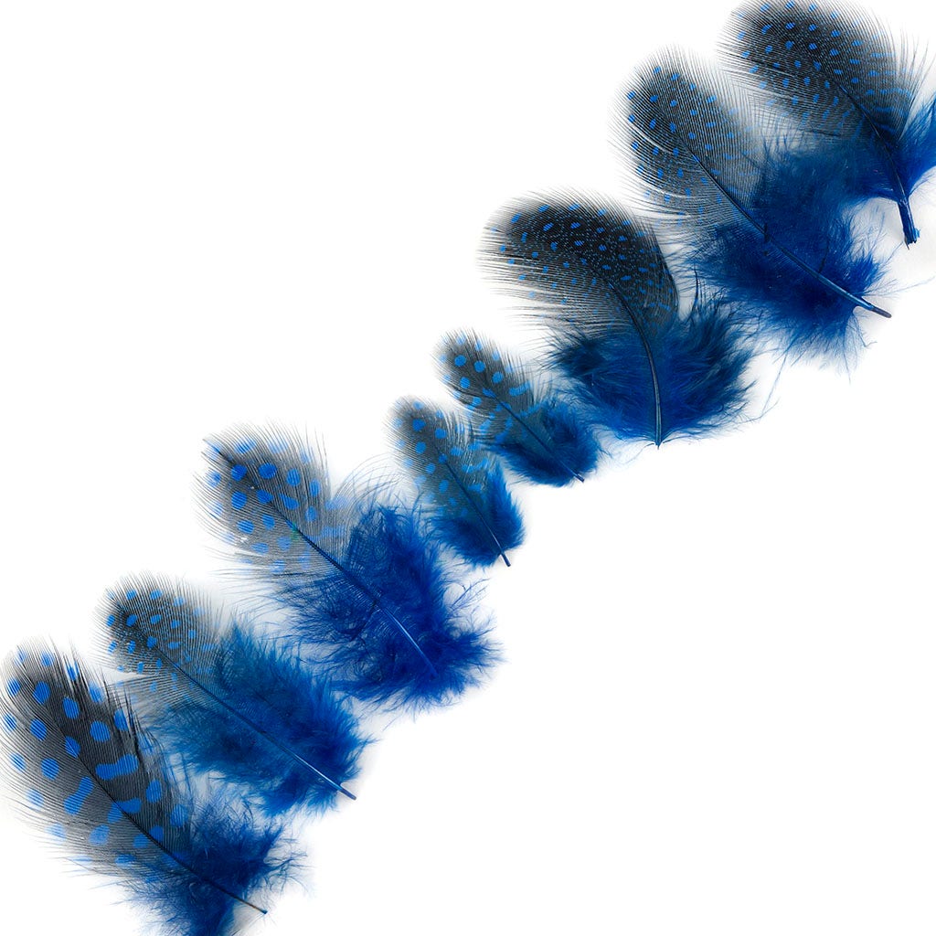 Bulk Guinea Hen Plumage - 1/4 lb - Royal - Feathers