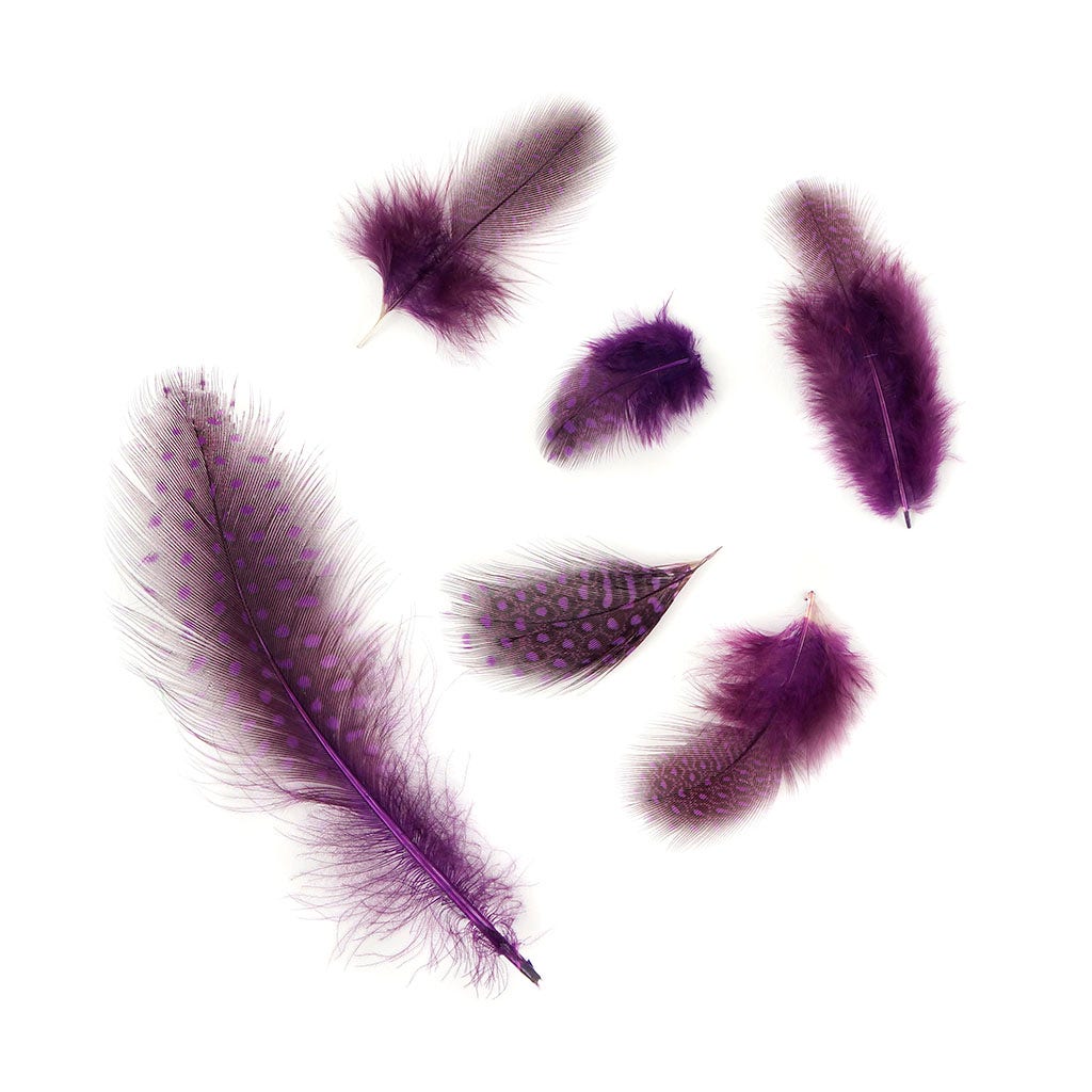 Bulk Guinea Hen Plumage Feathers - 1/4 lb - Purple - Feathers