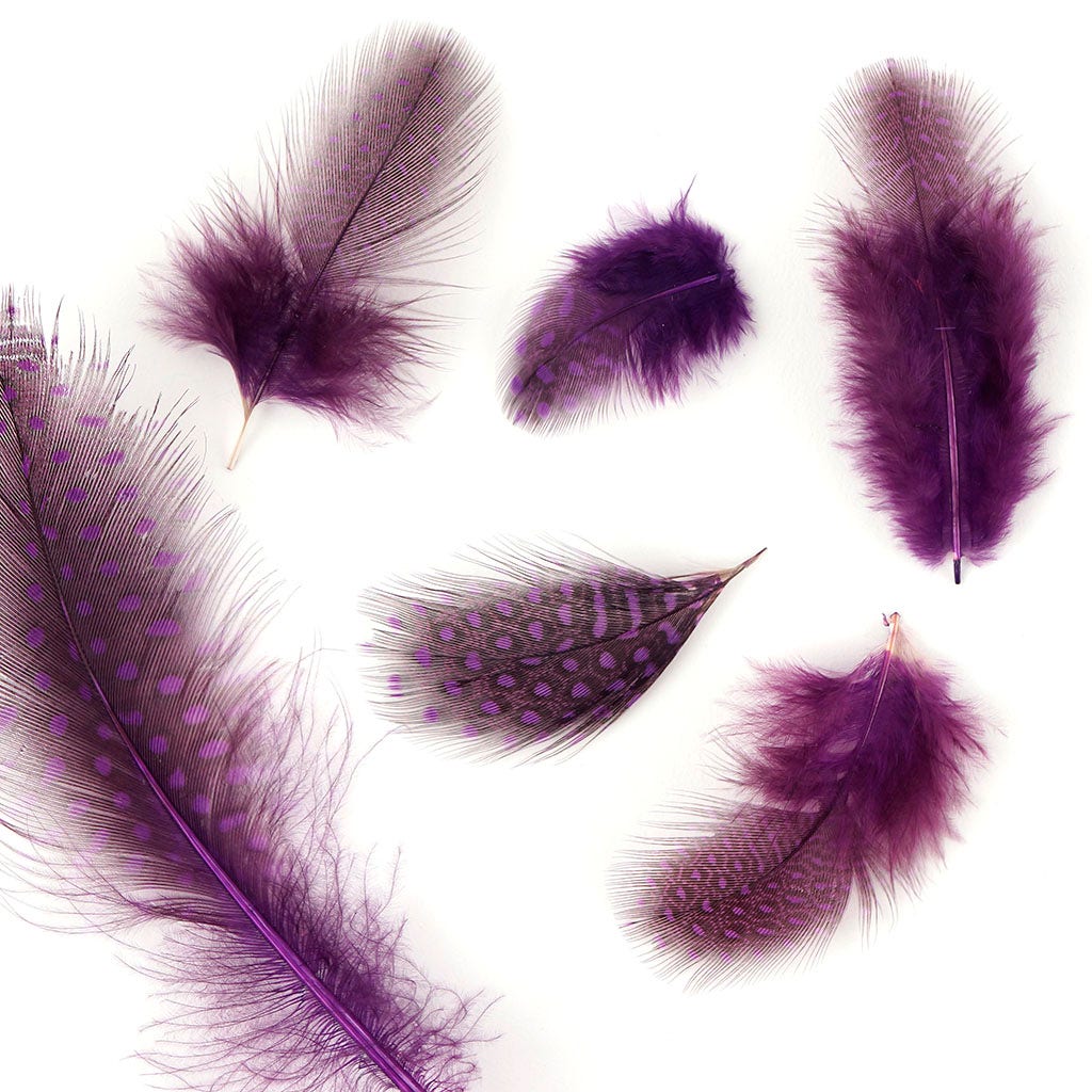 Bulk Guinea Hen Plumage Feathers - 1/4 lb - Purple - Feathers