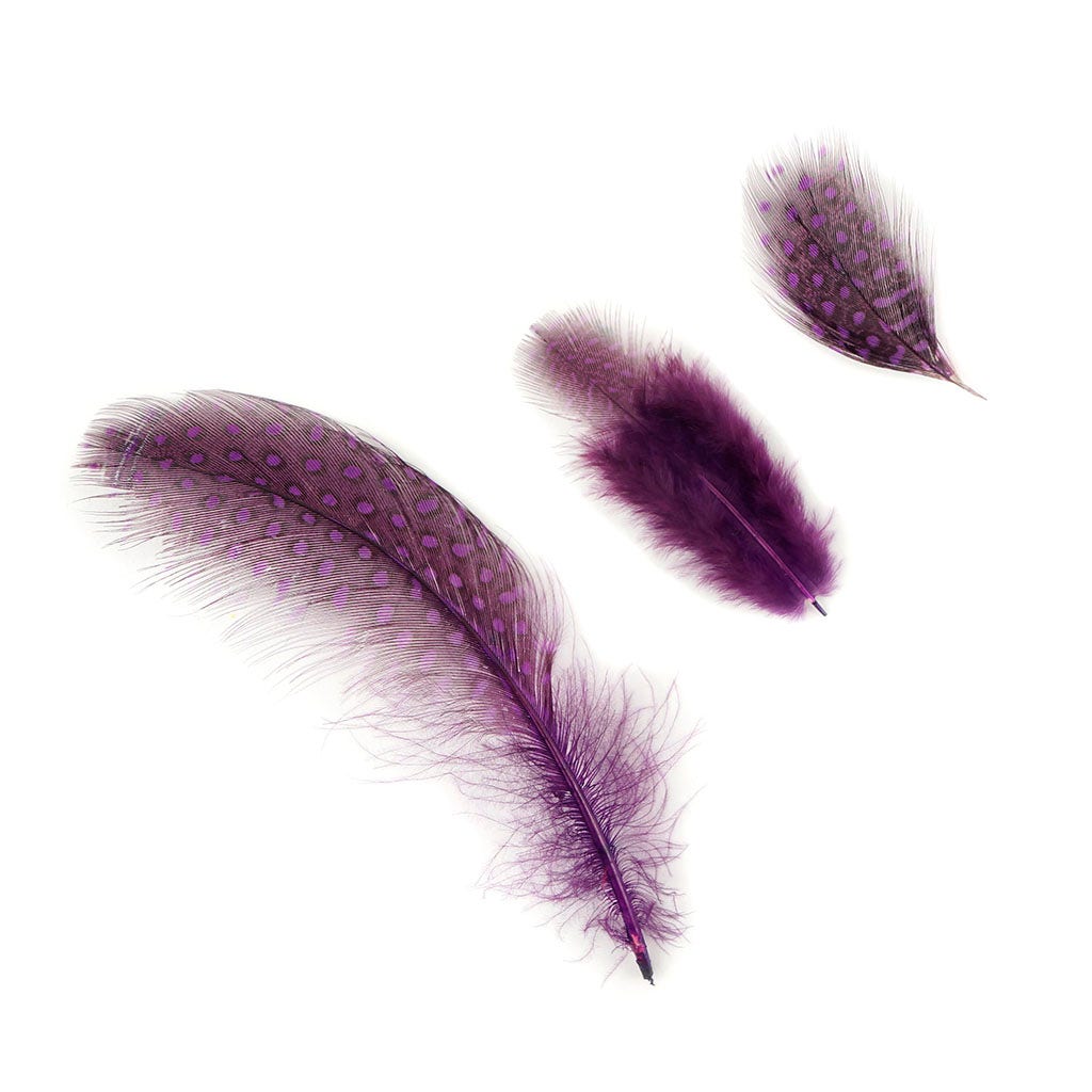 Bulk Guinea Hen Plumage Feathers - 1/4 lb - Purple - Feathers