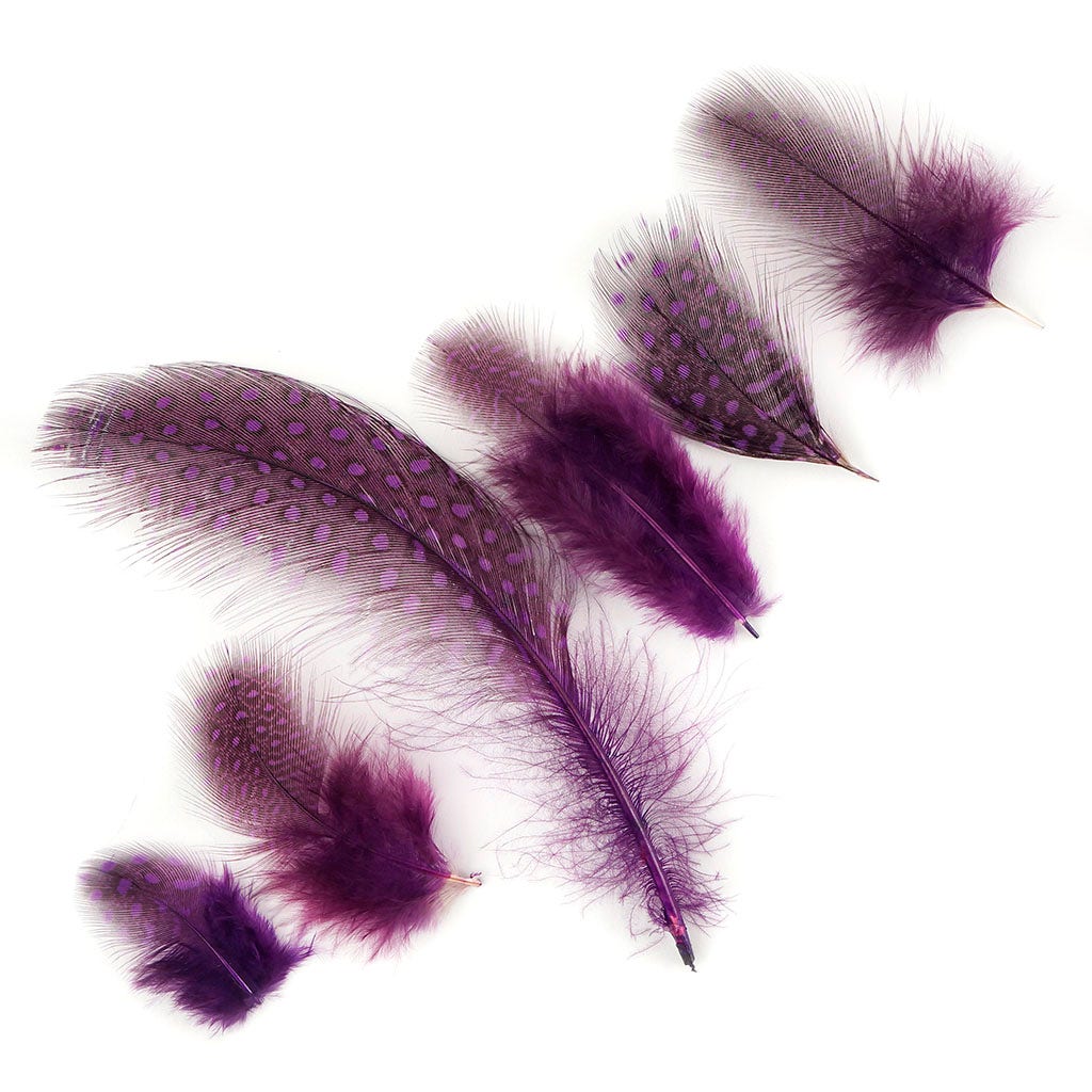 Bulk Guinea Hen Plumage Feathers - 1/4 lb - Purple - Feathers