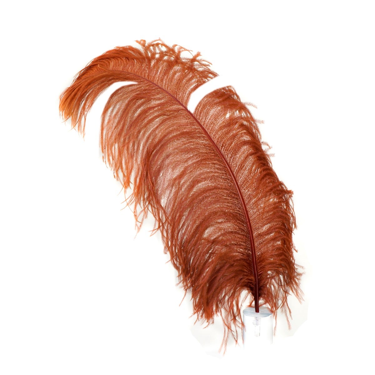 Bulk Ostrich Feathers-Damaged Femina - Copper - Feathers