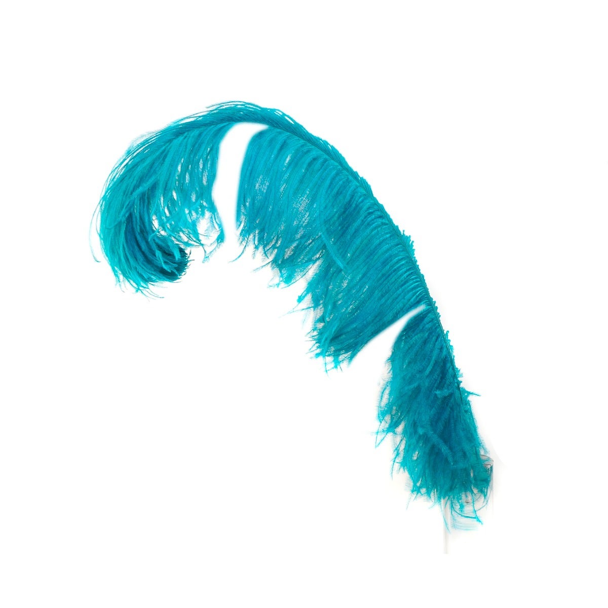 Bulk Ostrich Feathers-Damaged Femina - Dark Aqua - Feathers