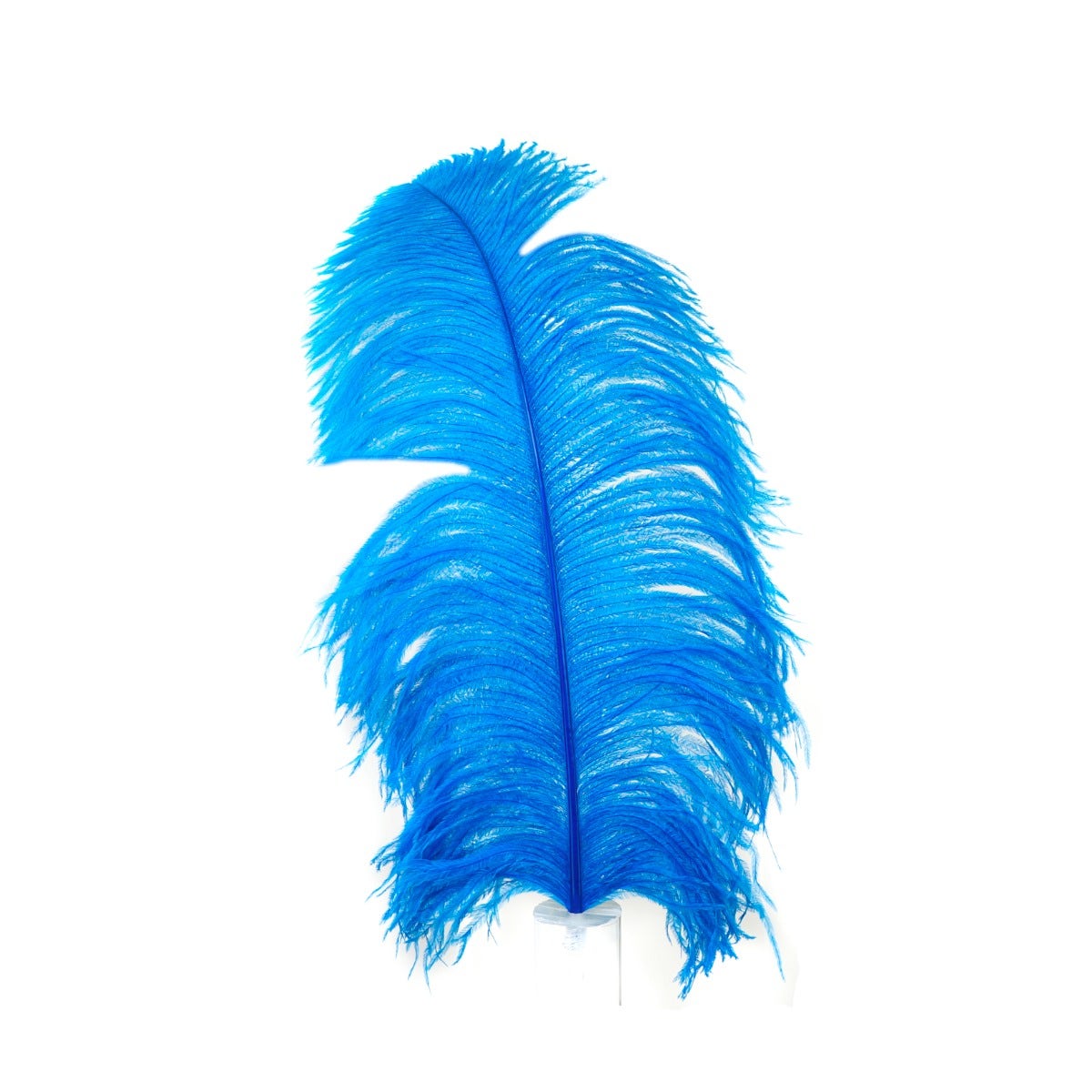 Bulk Ostrich Feathers-Damaged Femina - Dark Turquoise - Feathers