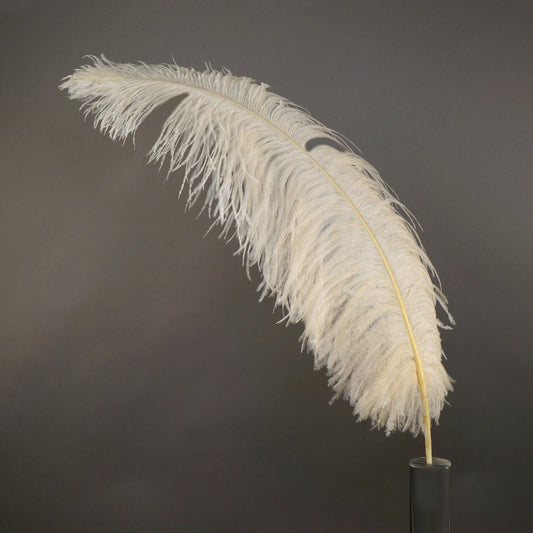 Bulk Ostrich Feathers-Damaged Femina - Ivory - Feathers