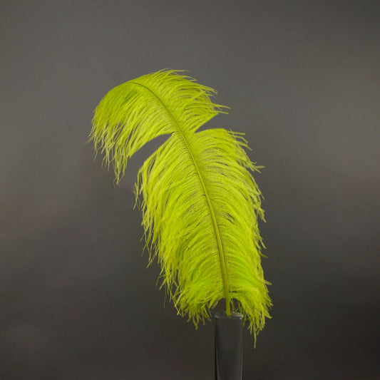 Bulk Ostrich Feathers-Damaged Femina - Lime - Feathers