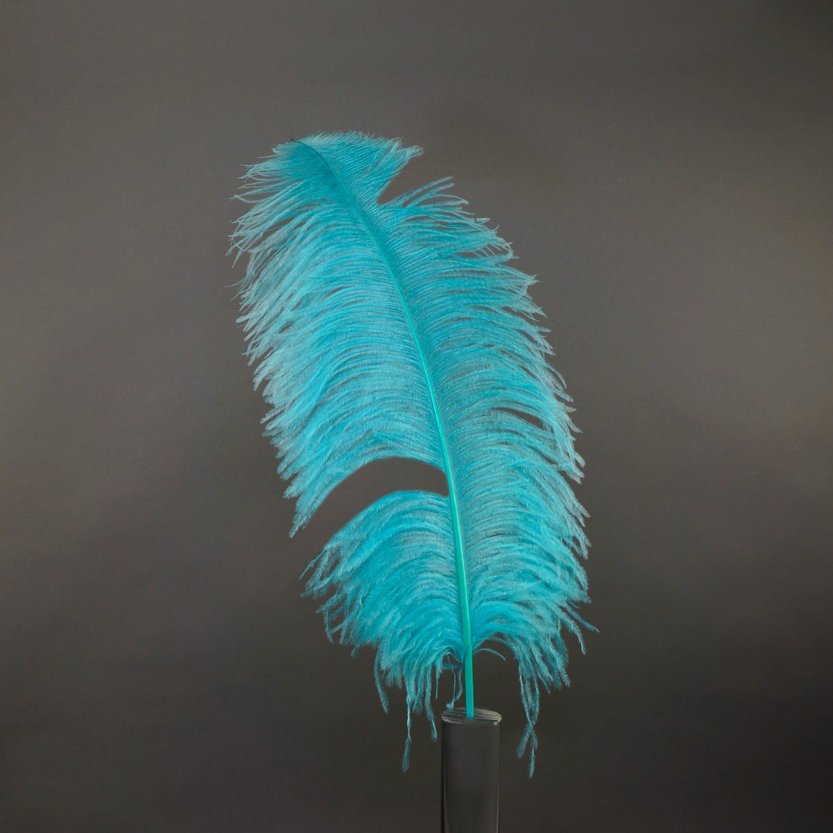 Bulk Ostrich Feathers-Damaged Femina - Lt Turquoise - Feathers