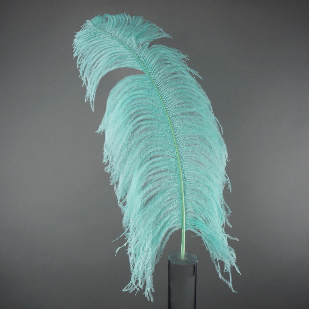 Bulk Ostrich Feathers-Damaged Femina - Mint - Feathers