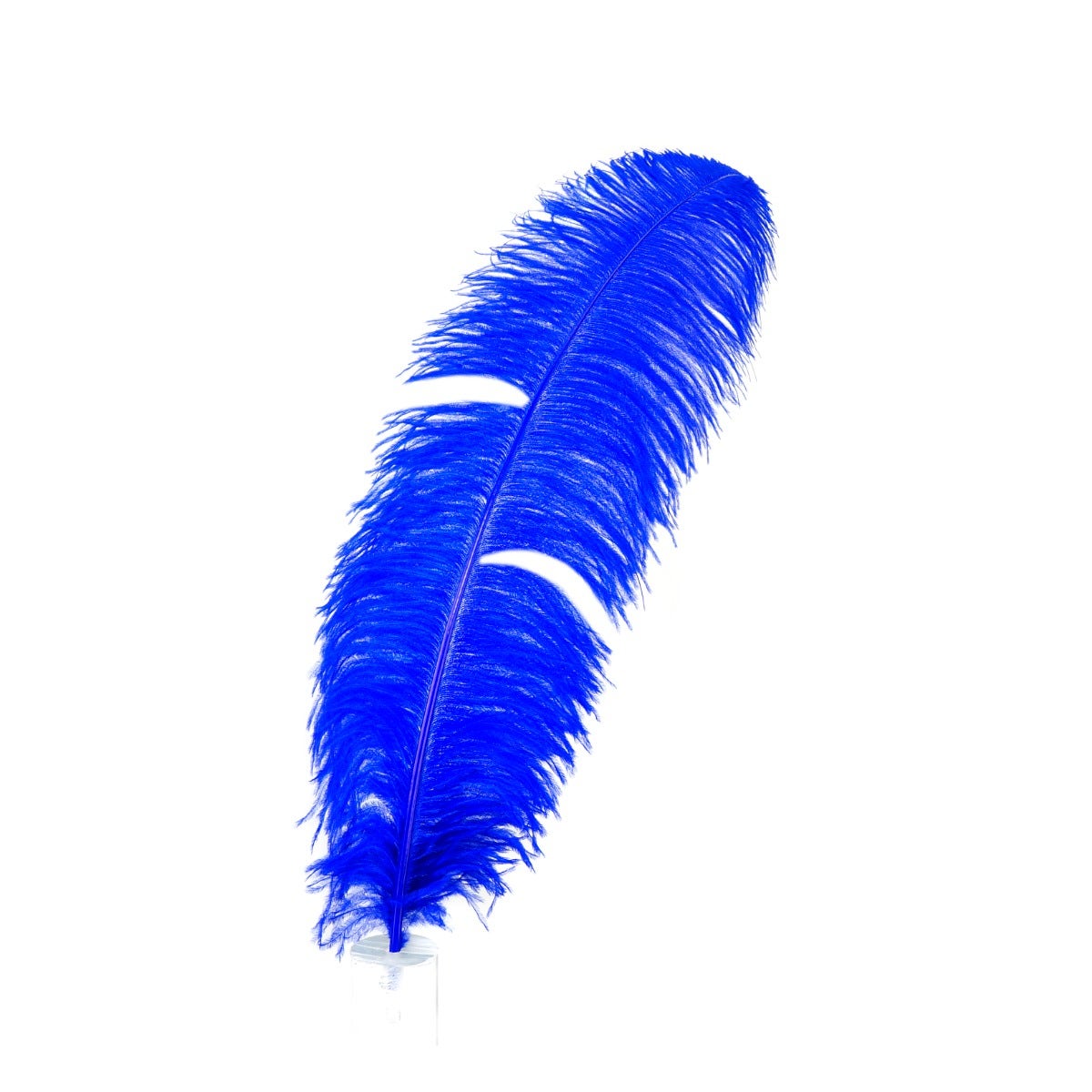 Bulk Ostrich Feathers-Damaged Femina - Royal - Feathers