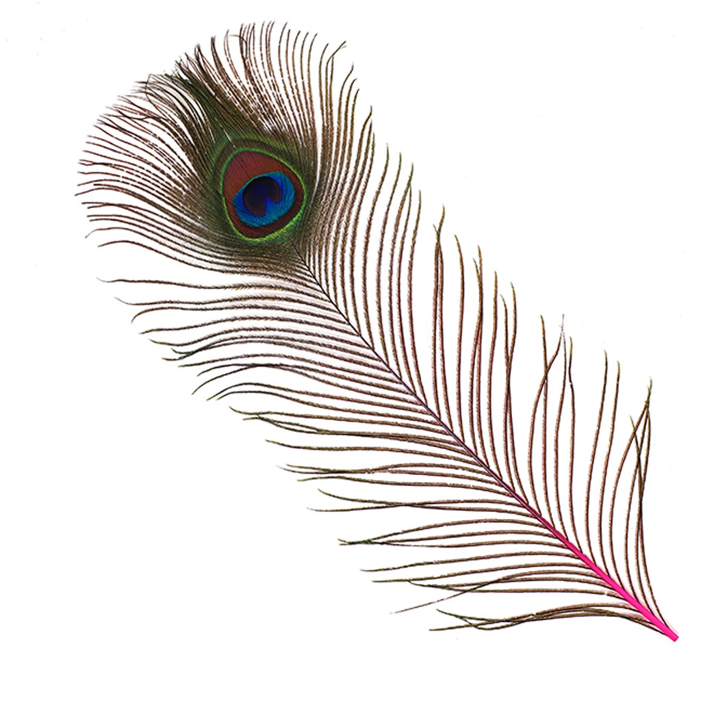 Bulk Peacock Eye Feathers (Full Eye) Stem Dyed 100 pc - 8-15’’ - Shocking Pink - Feathers