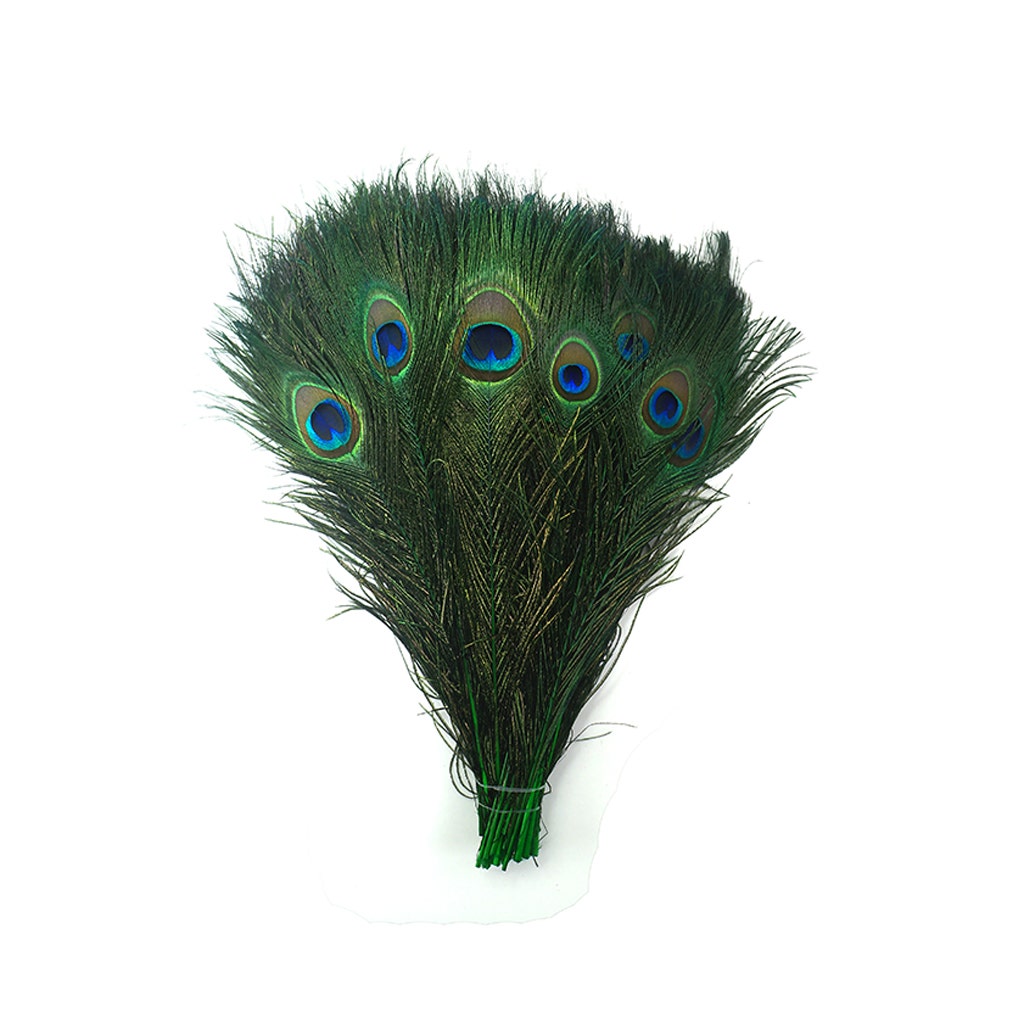 Bulk Peacock Eye Feathers (Full Eye) Stem Dyed - 100 pc - 8-15’’ - Kelly - Feathers