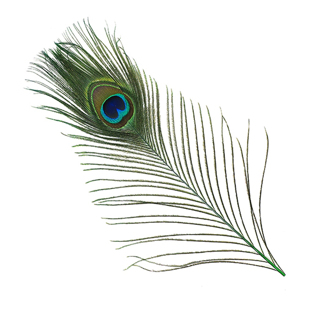 Bulk Peacock Eye Feathers (Full Eye) Stem Dyed - 100 pc - 8-15’’ - Kelly - Feathers