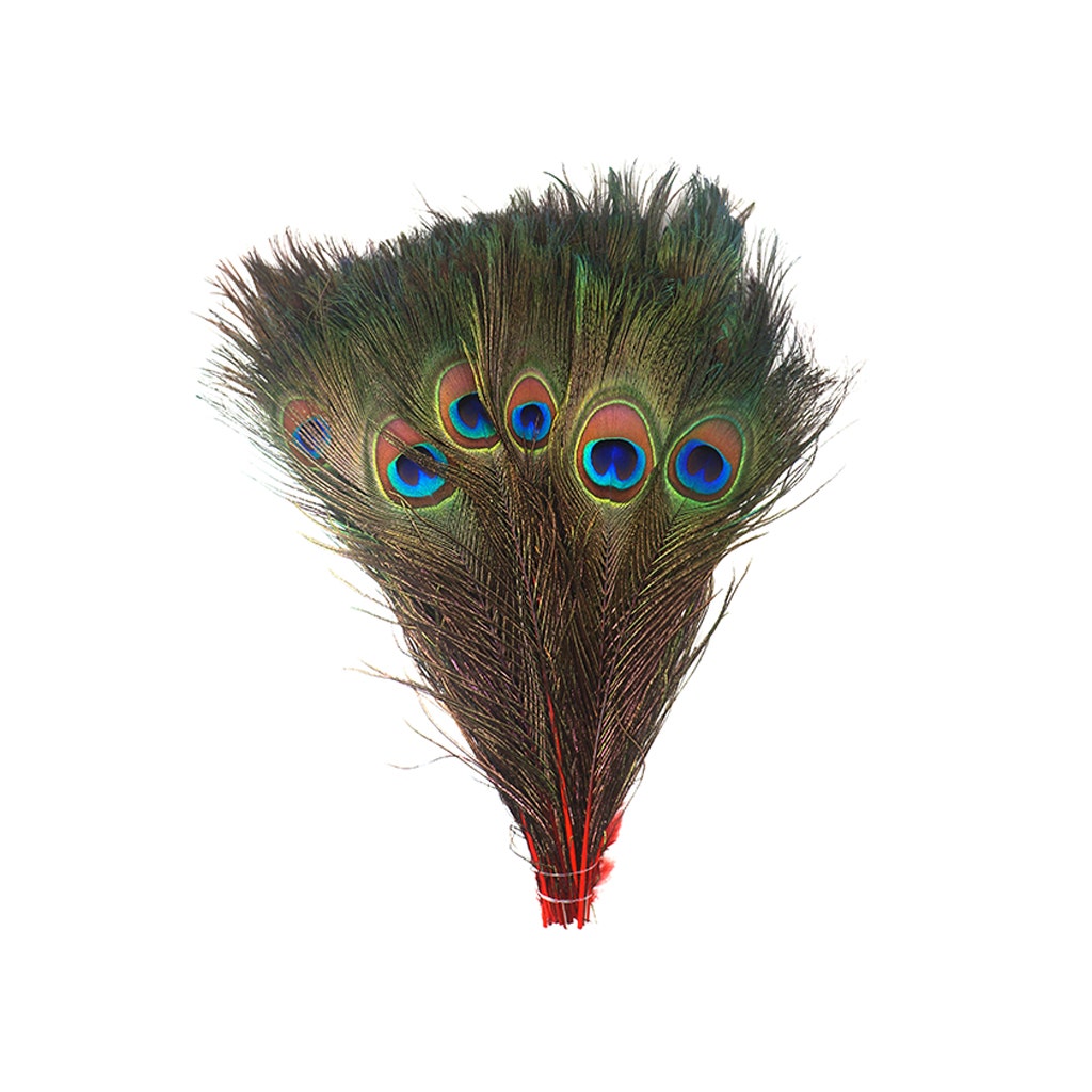 Bulk Peacock Eye Feathers (Full Eye) Stem Dyed 100 PC 8-15’’ - Red - Feathers