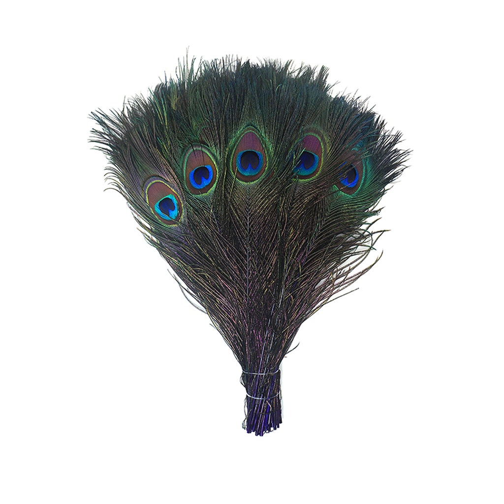 Bulk Peacock Eye Feathers (Full Eye) Stem Dyed 100 PC 8-15’’ - Regal - Feathers