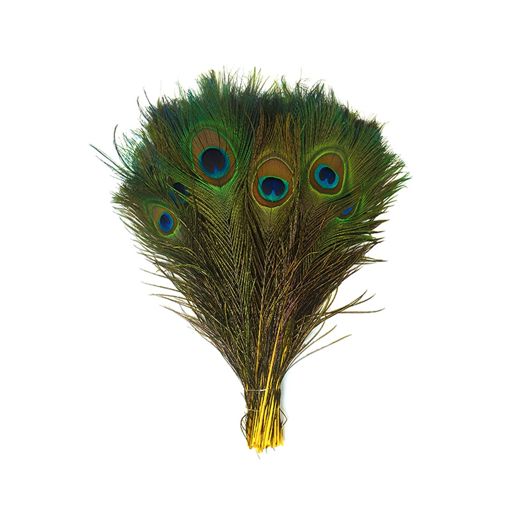 Bulk Peacock Eye Feathers (Full Eye) Stem Dyed 100 PC 8-15’’ - Yellow - Feathers