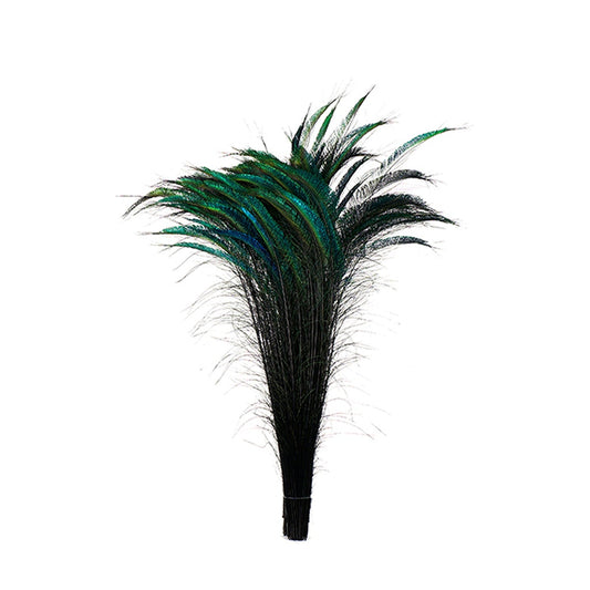 Bulk Peacock Sword Feathers Stem Dyed - 100 pc 25-40’’ - Black - Feathers