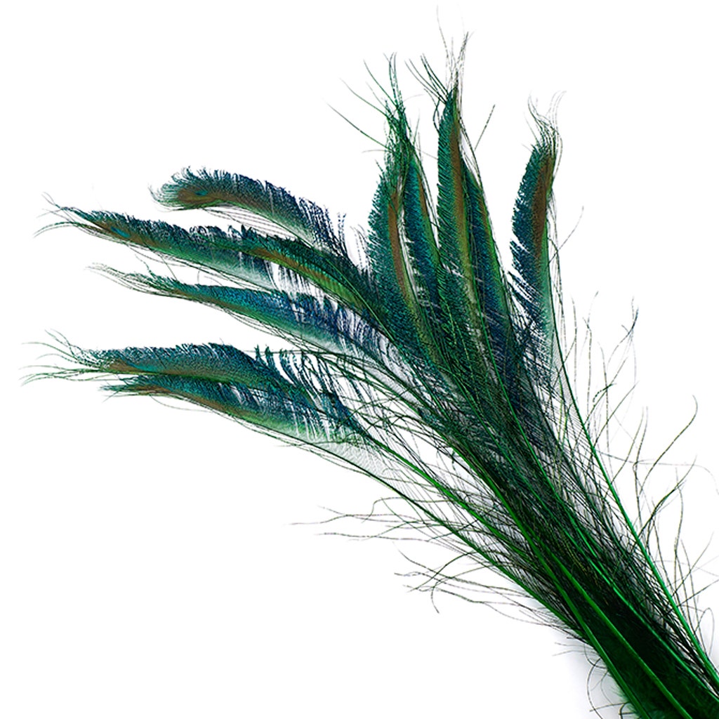 Bulk Peacock Sword Feathers Stem Dyed - 100 pc - 25-40’’ - Kelly - Feathers