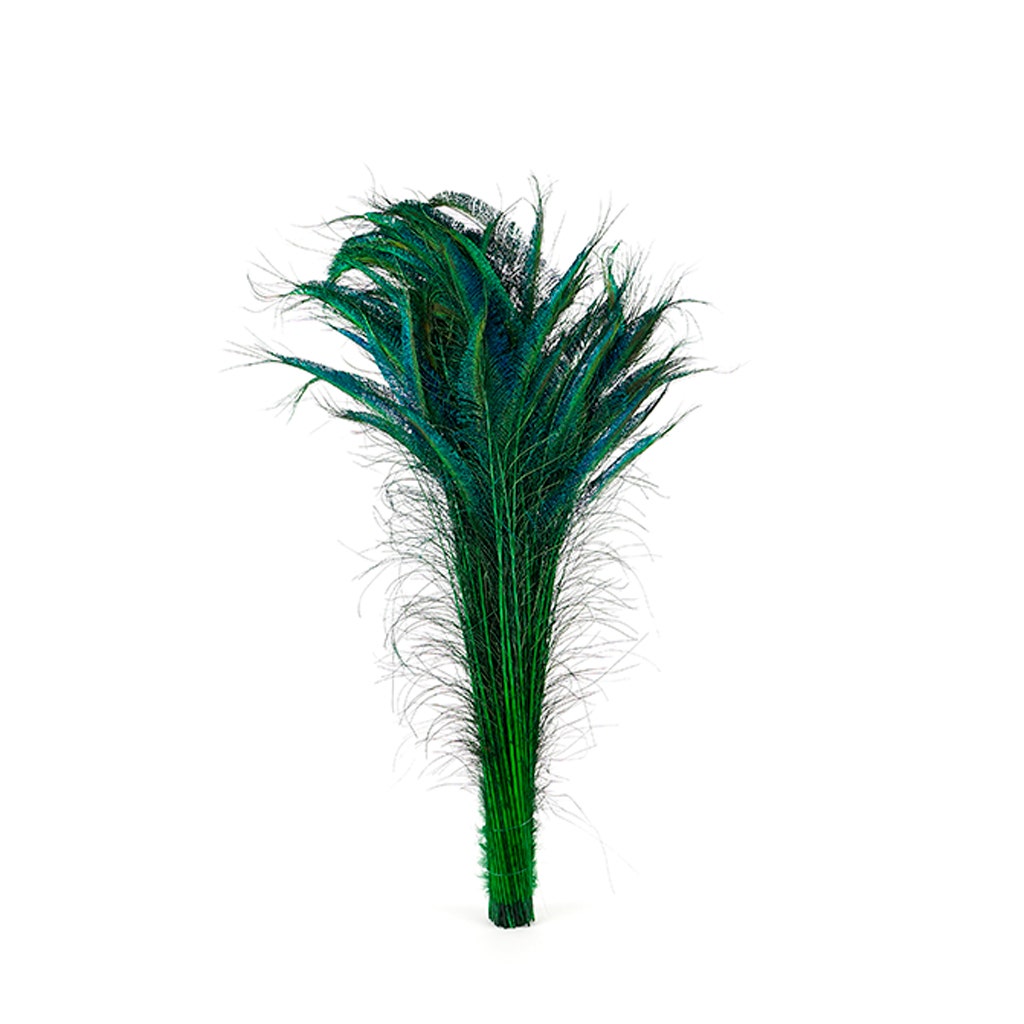 Bulk Peacock Sword Feathers Stem Dyed - 100 pc - 25-40’’ - Kelly - Feathers