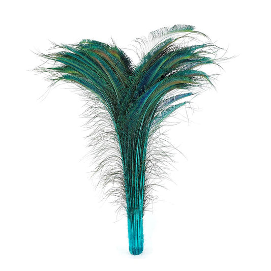 Bulk Peacock Sword Feathers Stem Dyed - 100 pc - 25-40’’ - Light Turquoise - Feathers