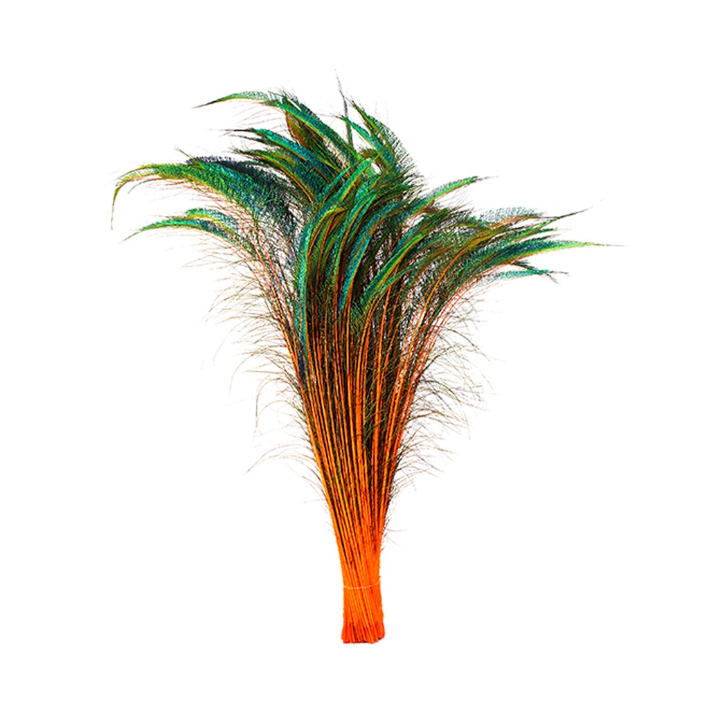 Bulk Peacock Sword Feathers Stem Dyed - 100 pc - 25-40’’ - Orange - Feathers