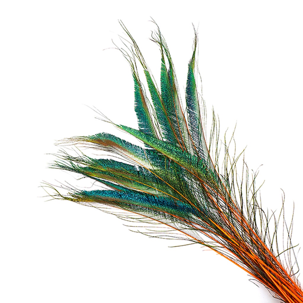 Bulk Peacock Sword Feathers Stem Dyed - 100 pc - 25-40’’ - Orange - Feathers