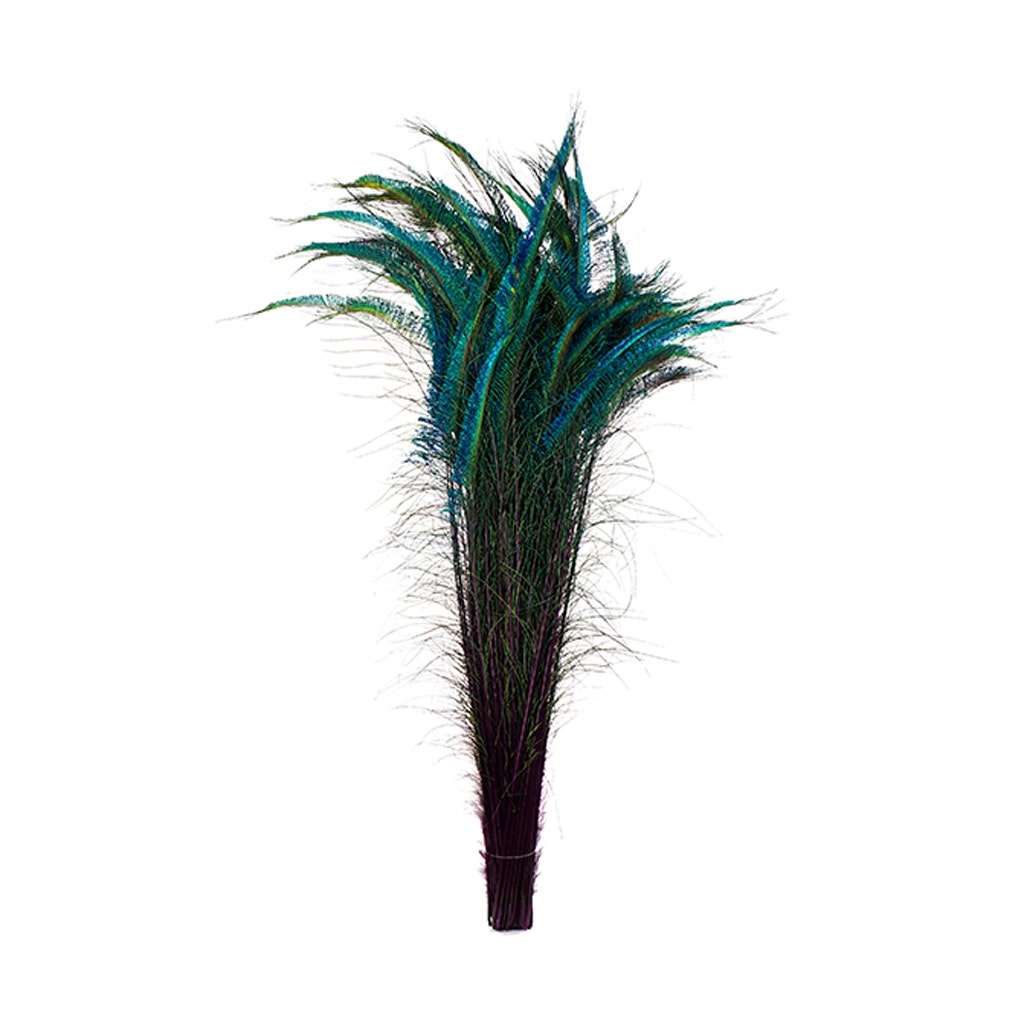 Bulk Peacock Sword Feathers Stem Dyed - 100 pc - 25-40’’ - Purple - Feathers